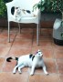 Magia und Nuca (5)